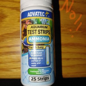 Ammonia strips.jpg