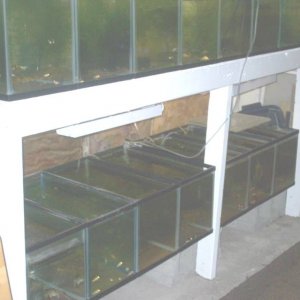 fishroom_003.jpg