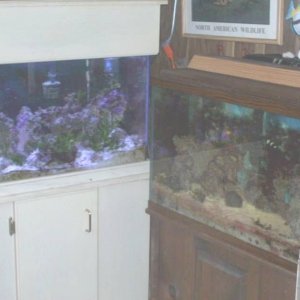 fishroom_005.jpg