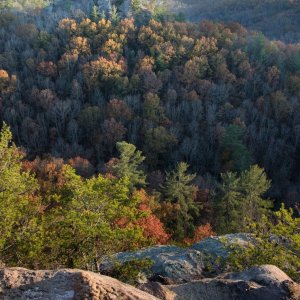 Red River Gorge 10b (1 of 1).jpg