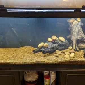 75Gal-firsttimelighton-12Nov23.jpg