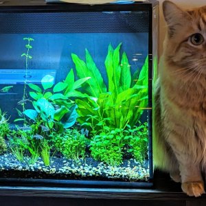 15Gallon-15Nov23.jpg