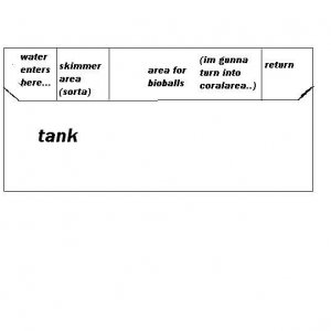 tank.JPG