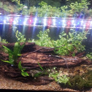 10gallon-1.jpg