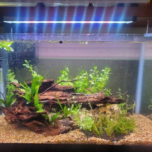 10gallon-2.jpg