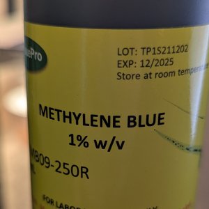 methyleneblue.jpg