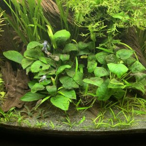 jo_akvarium_20241211.JPEG