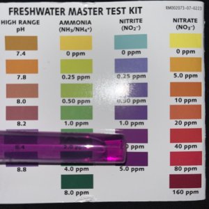 water test.jpg