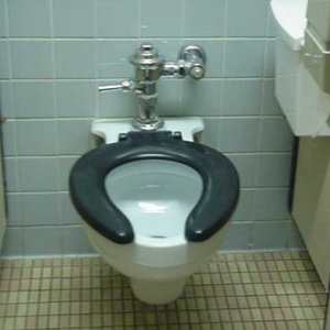 toilet.jpg