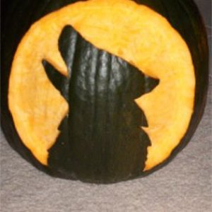 pumpkin2.jpg