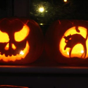 our_pumpkins.jpg