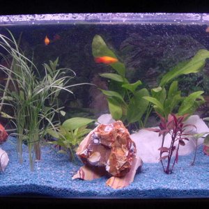 aquarium_pics_022.jpg