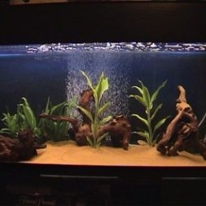 Aquarium3.jpg