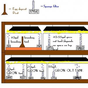 discus_plans2.JPG