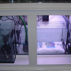 Fish_tank_photo_s_1.JPG