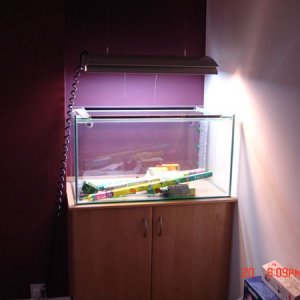 Fish_tank_equipment_025.jpg