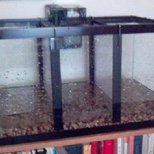 Preliminary_setup_10gallon.jpg