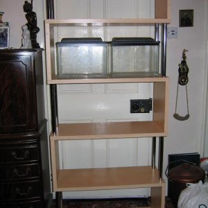 shelves_001.jpg