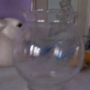 betta_and_bunny_024__Small_.jpg