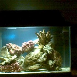 3_28_07.jpg_full_tank.jpg