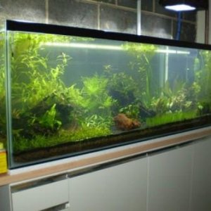 120Gallon.jpg