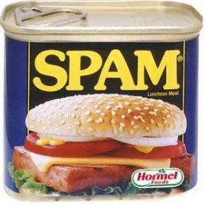 spam.JPG