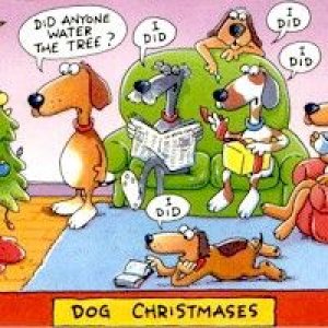 xmasdogjoke.jpg