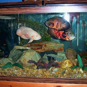 Resize_of_Aquarium_002.jpg