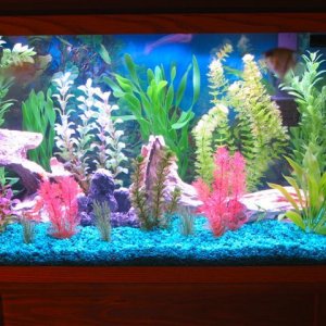 My_Aquarium_2003_2_072.jpg