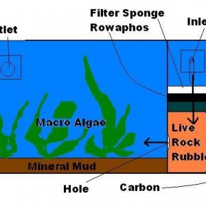 Refugium.JPG