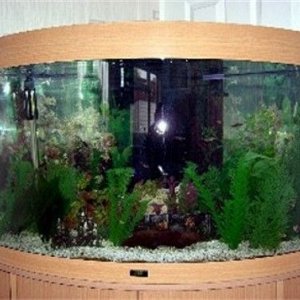 fishtank_001.jpg