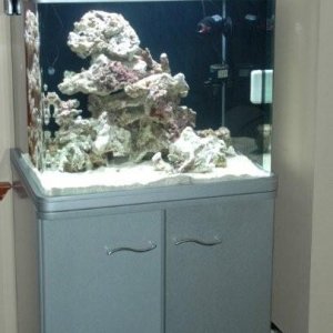 fishtank_060.jpg