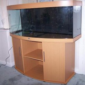 aquariu_004.jpg