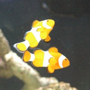 fishtank_013.jpg