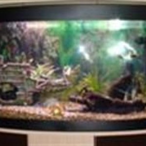 fish_tank_001__Custom_.jpg