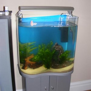 fish_tank_004__Small_.jpg