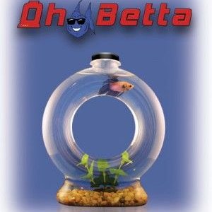 OhBetta_medium_1_.jpg