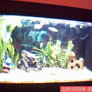 fish_tank_1.jpg