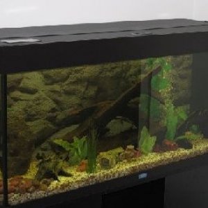 fishtank1.jpg