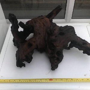 Bogwood2.jpg