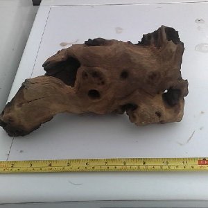 Bogwood4.jpg