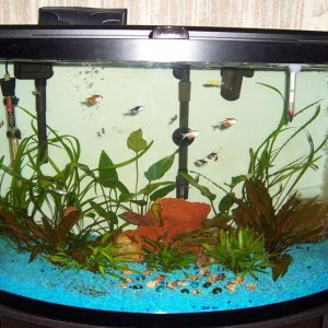 36-gallon.jpg