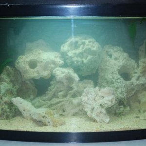 fish_tank_027.jpg