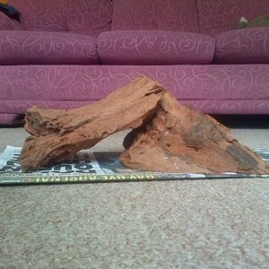 Bogwood 2.jpg