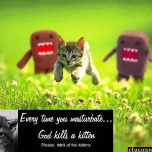 masturbate_and_god_kills_kittens.jpg