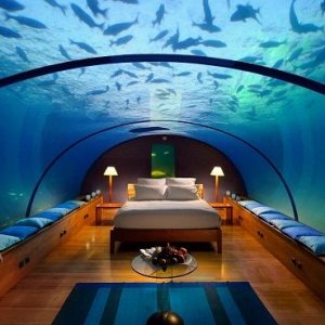 bedroom fish tank.jpg