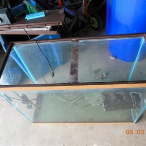 small new tank 002 (Small).JPG