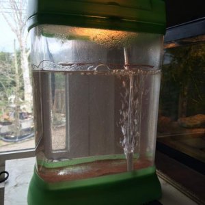 brine shrimp hatchery.jpg