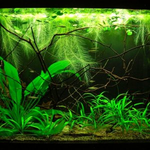 29g March 10-15.JPG