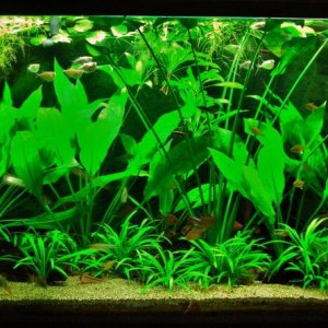 115g Feb 24-15.JPG